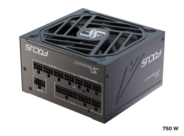 Seasonic FOCUS GX-750 ATX 3.0 750W Gold PSU (SSR-750FX3) - Image 4