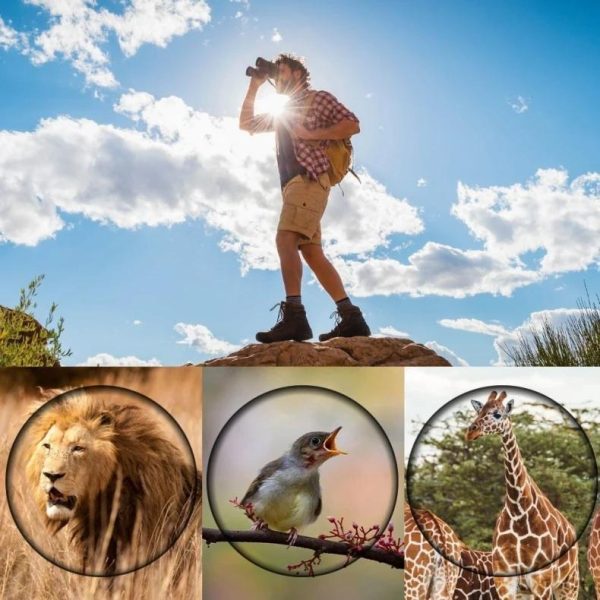 High Definition Monocular Telescope For Outdoor Bird Viewing - 16X52 Green Film - 16X52 Without Bag - Image 10