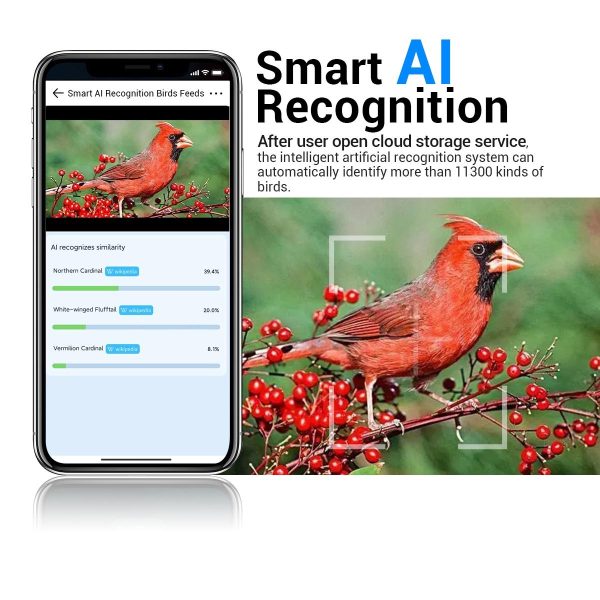 2Mp Wifi Camera With Ai Bird Recognition And Pir Motion Detection - Image 10