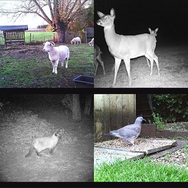 16Mp Waterproof Trail Camera With 3G Mms And Night Vision - 120 Degree Wide Angle - Image 8