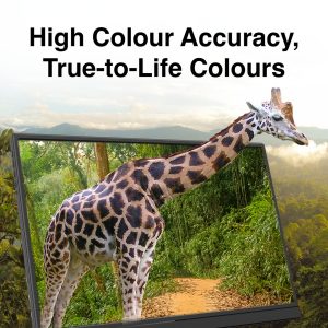 Laser 14 inch USB-C Portable Display - Image 6