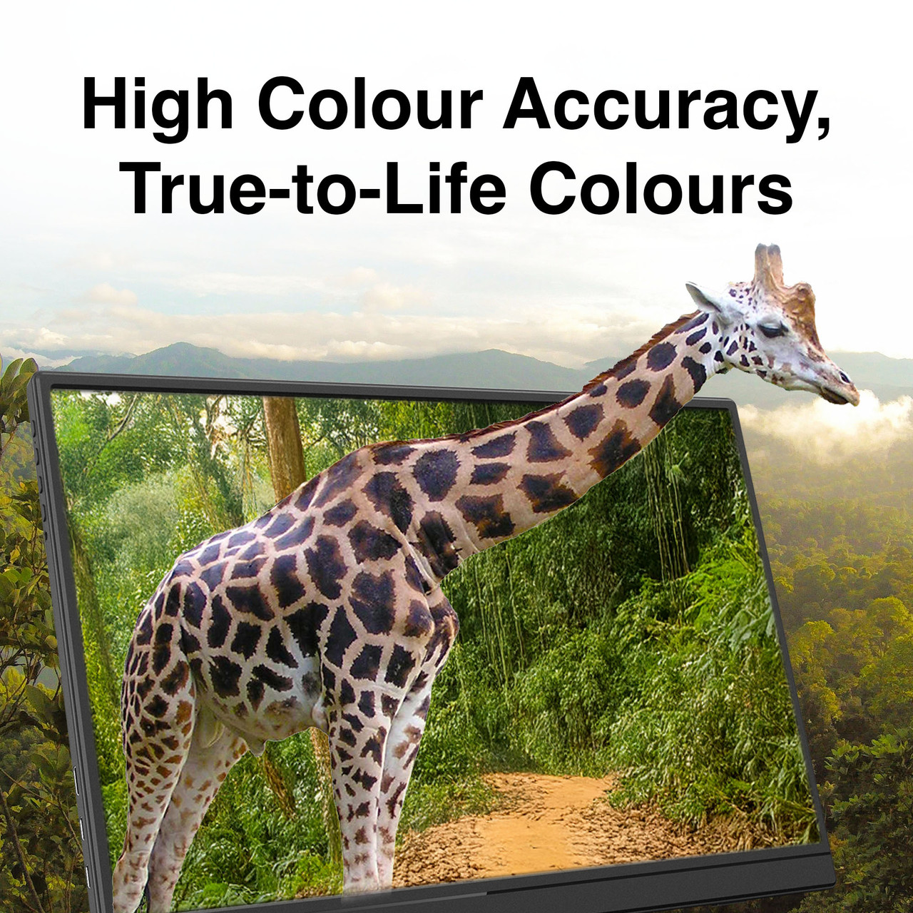 Laser 14 inch USB-C Portable Display - Image 6