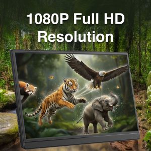 Laser 15.6 Portable Monitor with touch screen - Image 3